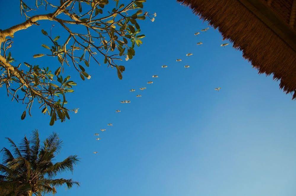 Gayatri Ubud Екстериор снимка
